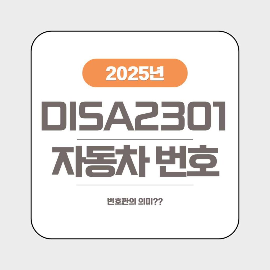 DISA2301 희귀한 자동차 번호판의 의미