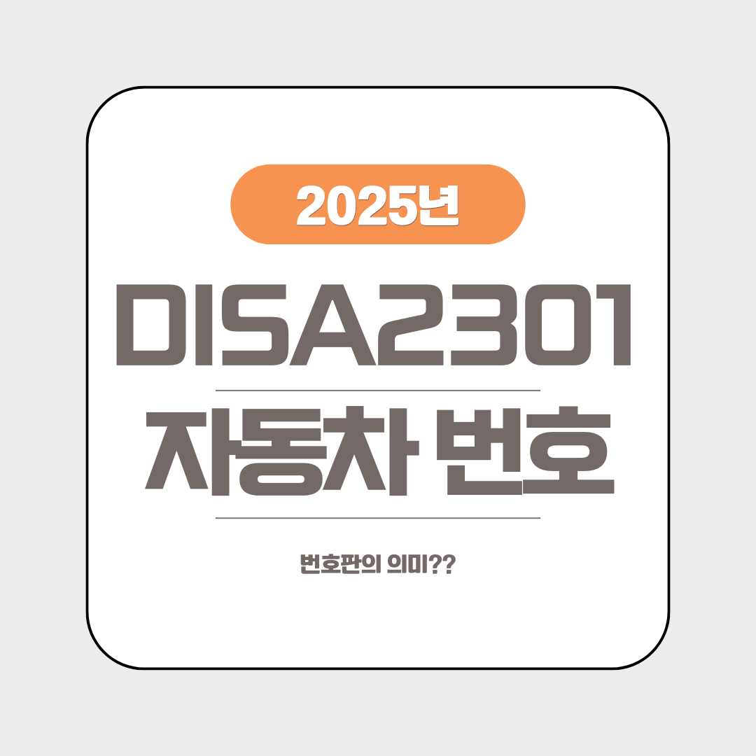DISA2301 희귀한 자동차 번호판의 의미