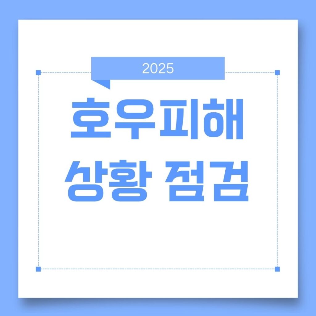 호우피해상황 점검하기