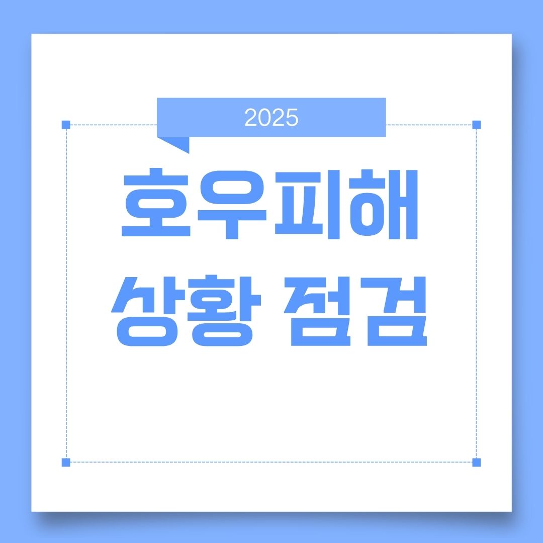 호우피해상황 점검하기