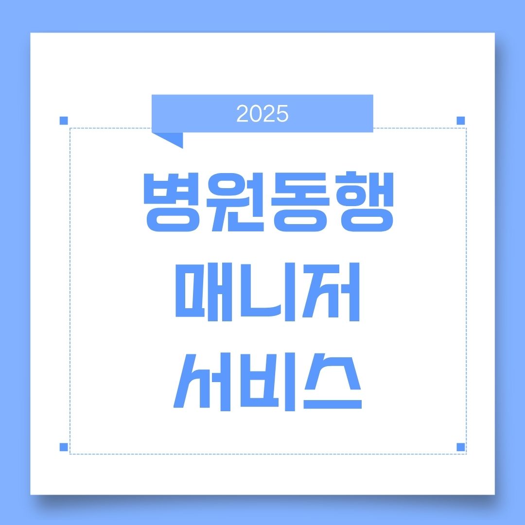 병원동행 매니저 서비스