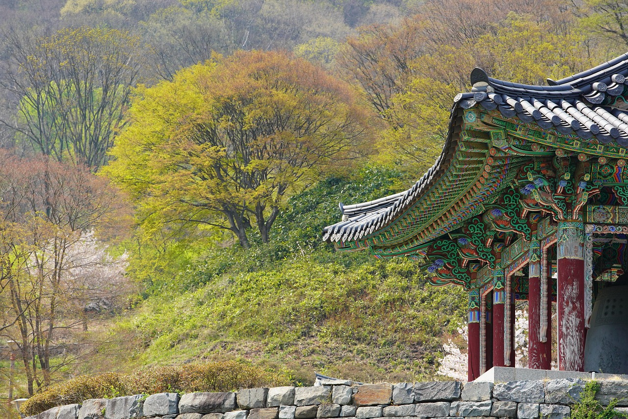 섹션 4 이미지