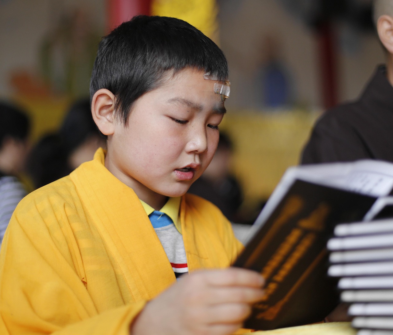 섹션 1 이미지