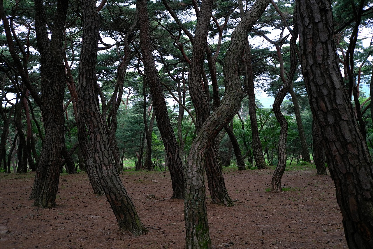 섹션 4 이미지