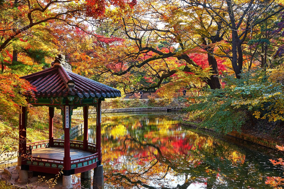 섹션 1 이미지