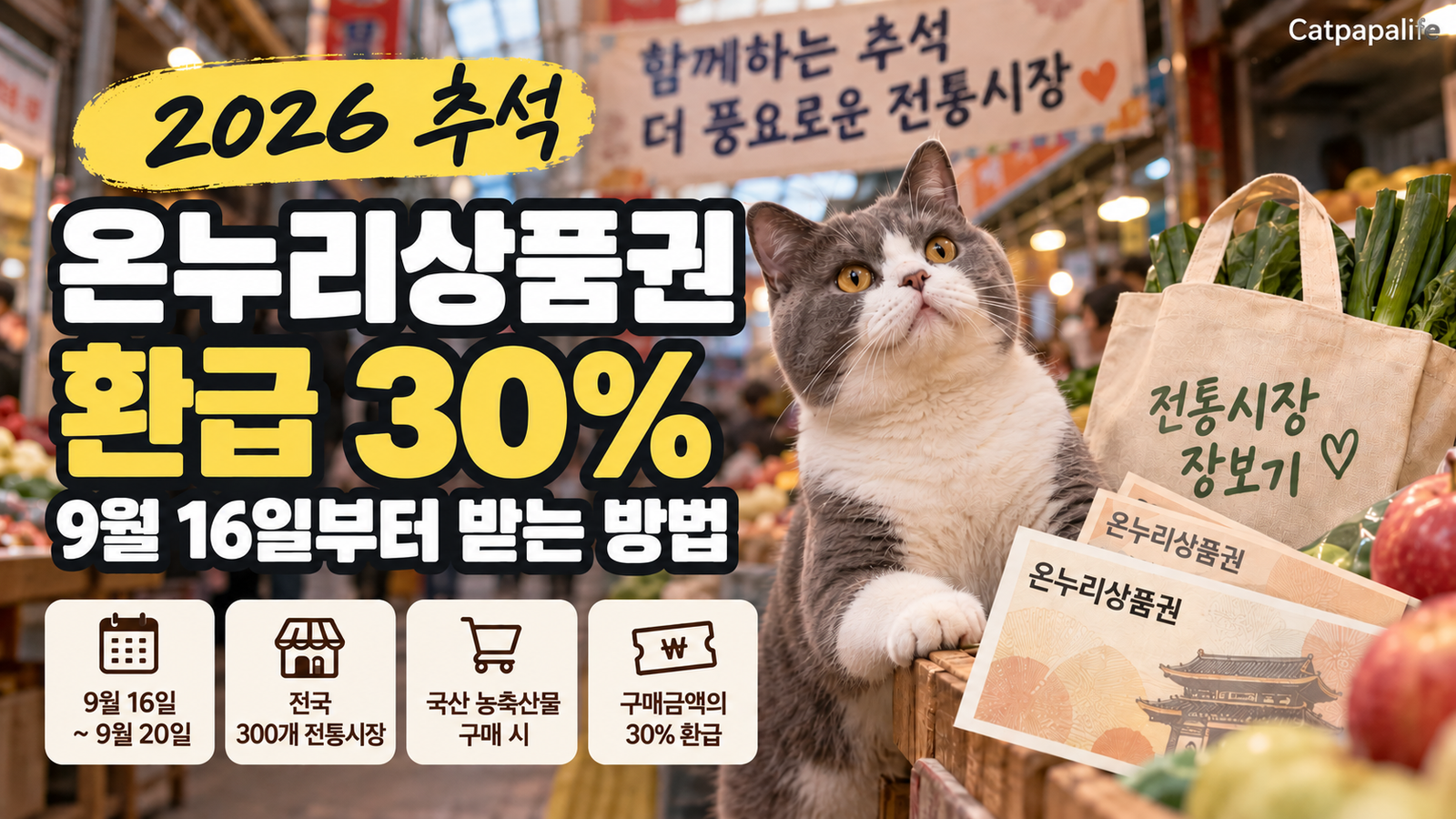 섹션 1 이미지